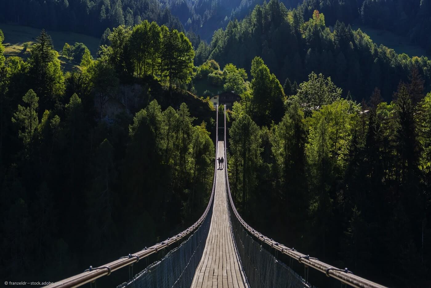 Hängebrücke in Ernen, Wallis