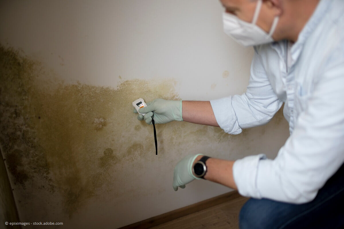 Baumängel müssen nicht sein - Vorbereitung, Planung, im Vertrag festhalten und eine korrekte Bauabnahme verhindern teure Kosten