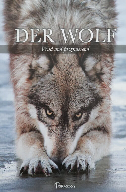 Sachbuch: «Der Wolf» von Shaun Ellis