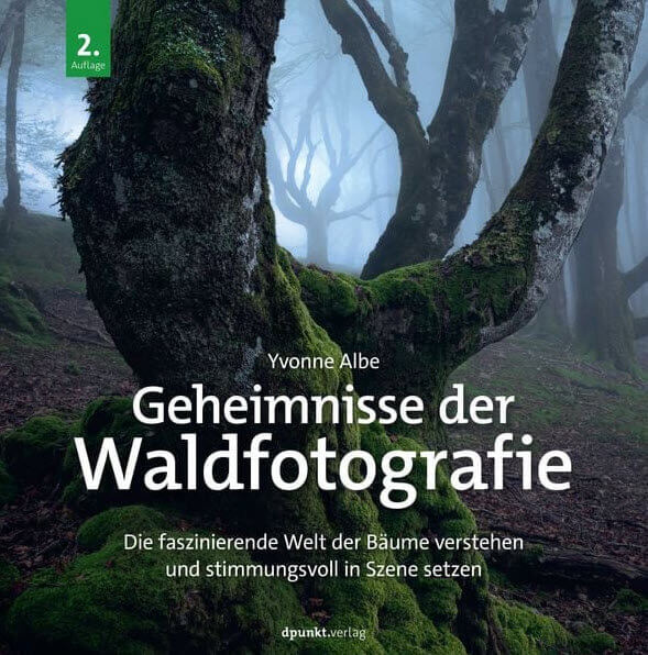 Sachbuch: «Geheimnisse der Waldfotografie» von Yvonne Albe, hier bestellen