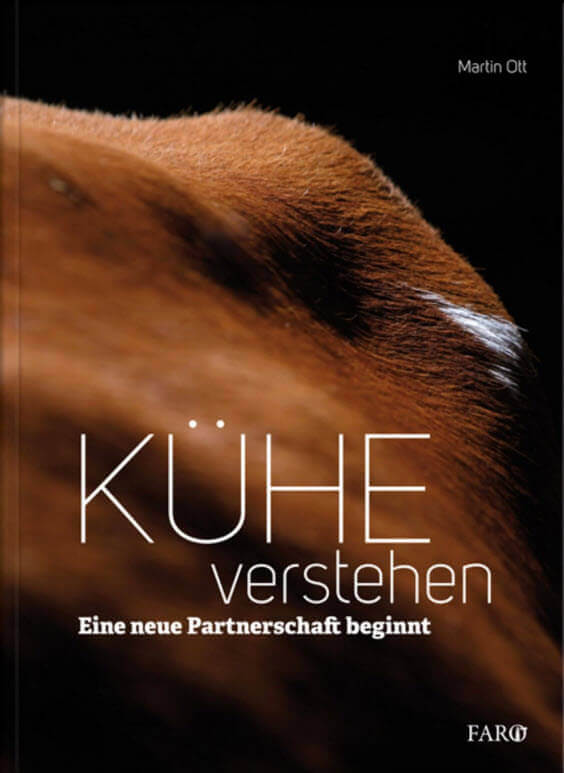 Sachbuch «Kühe verstehen» von Martin Ott, hier bestellen