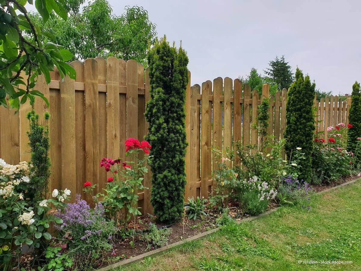 Gartensichtschutz will geplant sein. Planen. Gedanklich setzen lassen. Handeln.