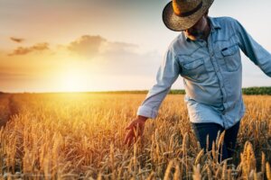 Als Landwirt tätig sein, dazu braucht man eine Vision.